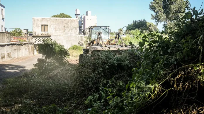 Proponen crear “plazas de bolsillo” en Paraná Proponen crear “plazas de bolsillo” en Paraná