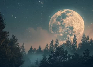 Superluna de octubre 2025: cuándo y cómo ver la primera superluna del año, según la NASA La Superluna de Cosecha. Foto: Infobae.