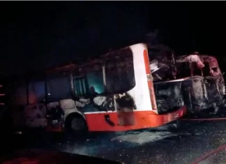 Dos colectivos se incendiaron en el Acceso Norte. Foto: (BVP).