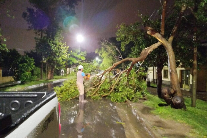 La Municipalidad asistió a 60 familias tras el fuerte temporal en Paraná La Municipalidad asistió a 60 familias tras el fuerte temporal en Paraná