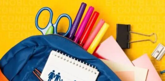 Ayuda Escolar ANSES