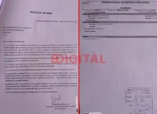 Bocedi pidió informes. Foto: Elochodigital