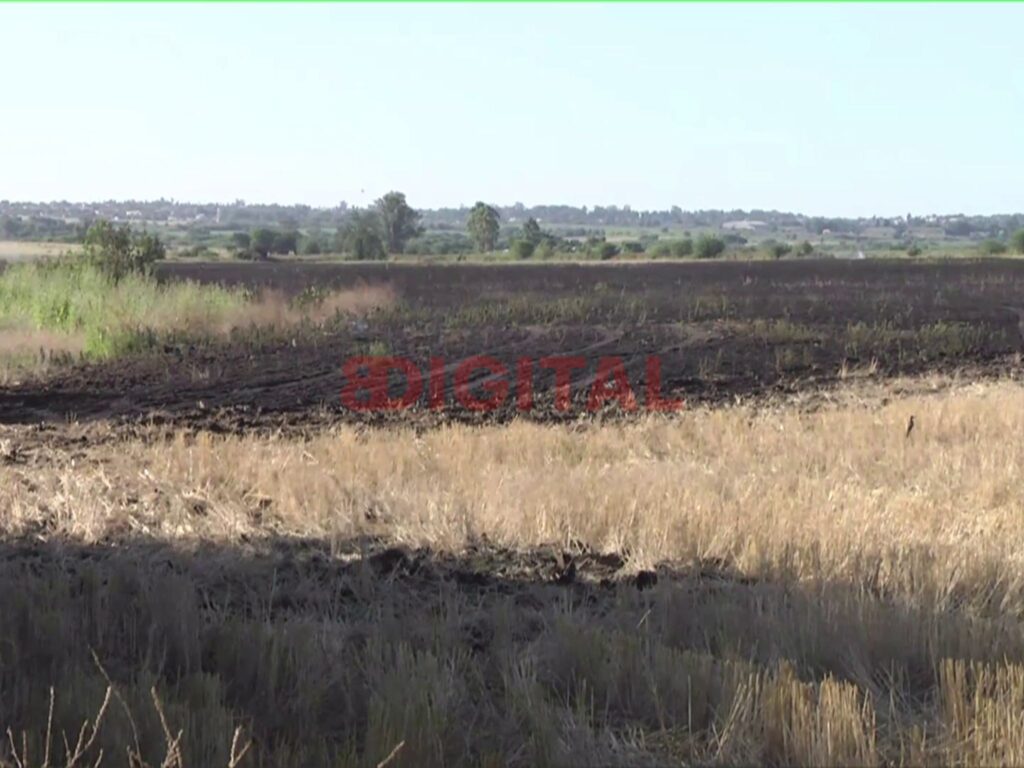 Incendio de pastizales arrasó cuatro hectáreas en San Benito. Foto: Elonce