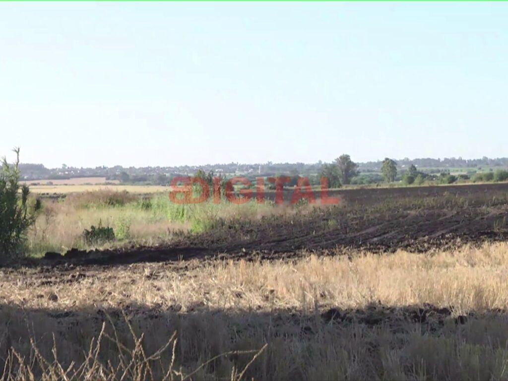 Incendio de pastizales arrasó cuatro hectáreas en San Benito. Foto: Elonce