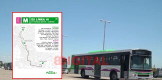 Nuevos colectivos urbanos de Paraná. Foto: Elochodigital