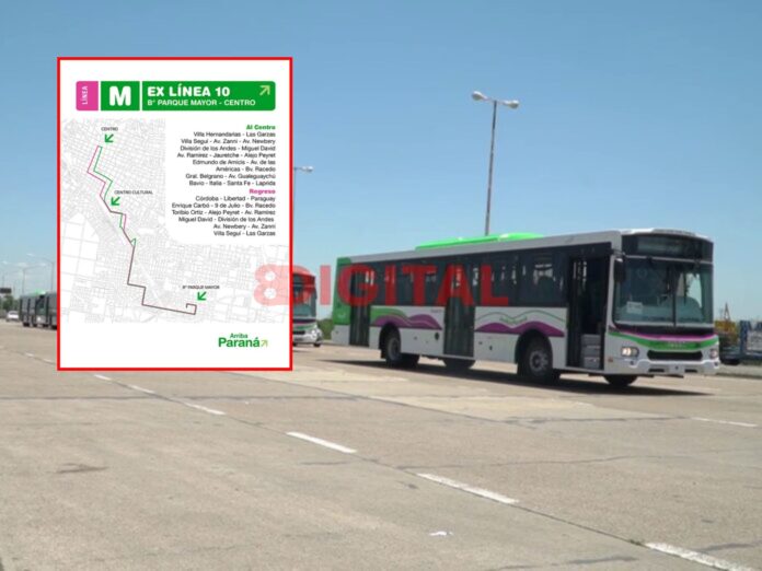 Nuevos colectivos urbanos de Paraná. Foto: Elochodigital
