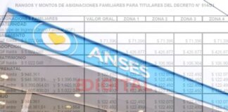 Aumento de asignaciones familiares