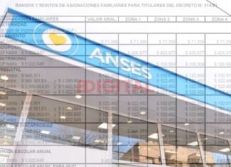 Aumento de asignaciones familiares
