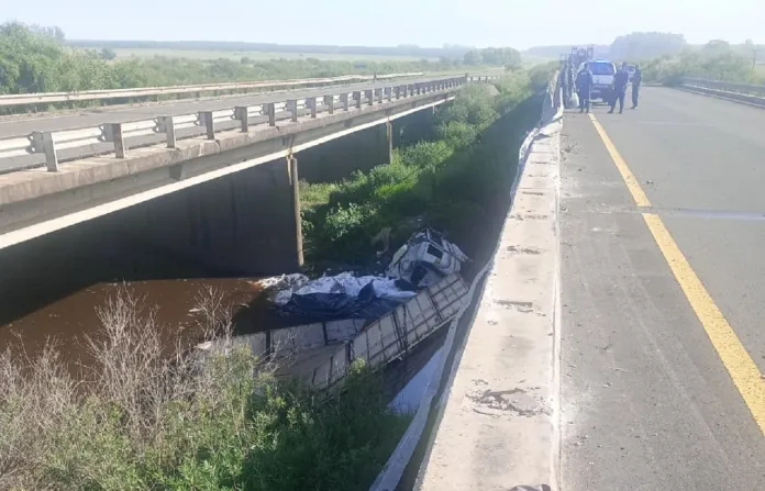 Camión cargado con arvejas cayó a un arroyo en la Autovía 14