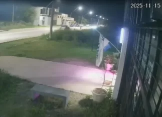 Un conductor embistió a un hombre y escapó