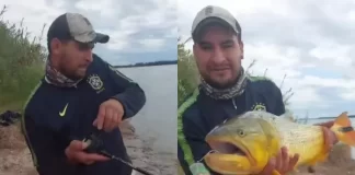 Pescador sacó un Dorado desde la orilla del río Paraná en Santa Elena