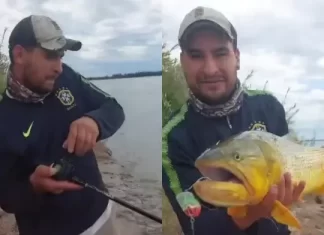 Pescador sacó un Dorado desde la orilla del río Paraná en Santa Elena