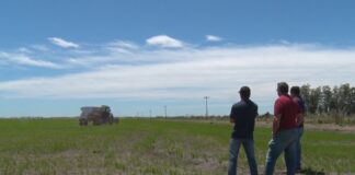 En la provincia se acaba la plantación de arroz sobre 59.000 hectáreas. Foto: Campo en Acción.