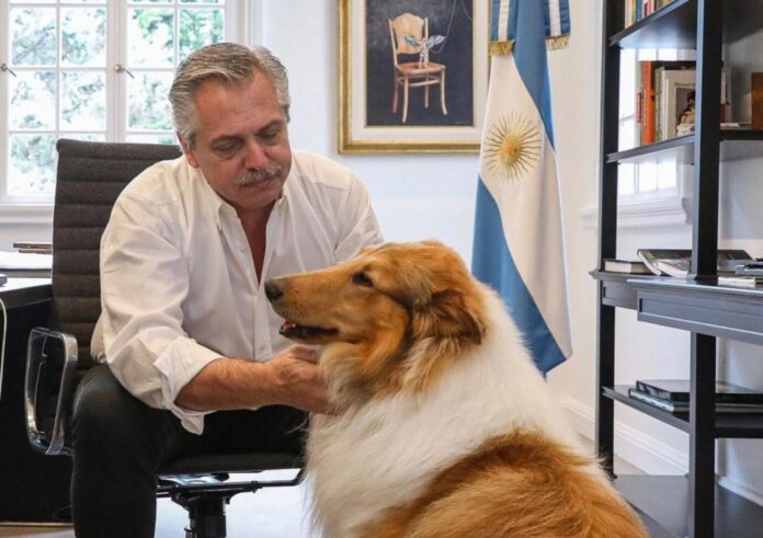 Murió Dylan, el perro de Alberto Fernández. Murió Dylan, el perro de Alberto Fernández.