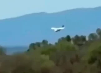Cayó una avioneta con 140 kilos de cocaína en Salta: vecinos grabaron el momento del impacto La avioneta tenía matrícula boliviana