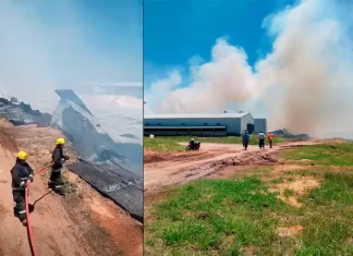 Incendio en un galpón de pollos en Federal