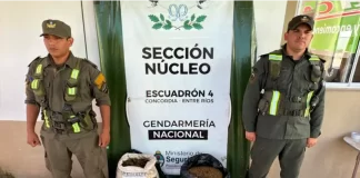 Intentaba retirar dos encomiendas con casi 30 kilos de marihuana. Foto: (Concordia Policiales).