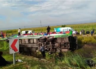 Tragedia en la Ruta 2: volcó un micro de turismo y murieron al menos dos pasajeros Vuelco de micro sobre Ruta 2. Foto: TN