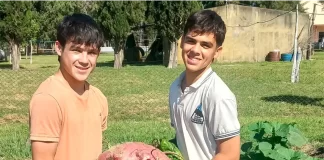 Estudiantes entrerrianos cosecharon una remolacha gigante de 11,8 kilos en una escuela agrotécnica