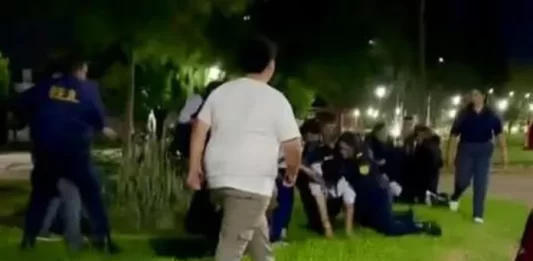 Una mujer policía fue agredida durante una pelea. Foto: Info San Jaime de la Frontera