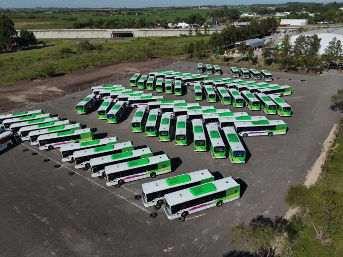 Colectivos de Paraná