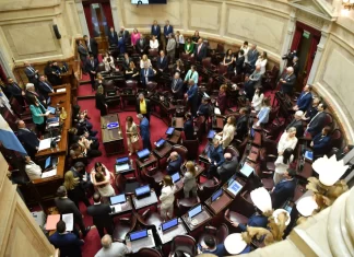 El Senado de la Nación. Foto: Agencia NA (Daniel Vides)