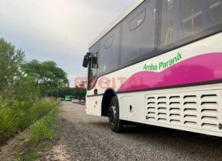 Colectivos en Paraná: lanzan una cumbia para identificar las nuevas líneas del servicio urbano Colectivos Paraná