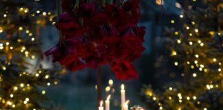 Navidad y Nochebuena
