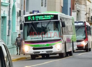 Colectivos de Paraná. Foto: Elochodigital