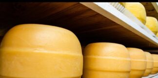 Un queso producido en Santa Fe ganó la medalla de plata en el Mundial de Suiza