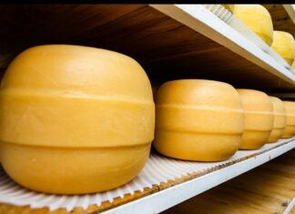 Un queso producido en Santa Fe ganó la medalla de plata en el Mundial de Suiza