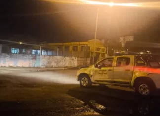 Un joven motociclista sufrió graves lesiones tras chocar contra un perro en la vía pública Un joven motociclista sufrió graves lesiones tras chocar contra un perro