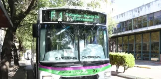 Colectivos de Paraná