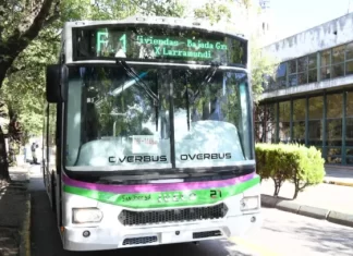 Colectivos de Paraná