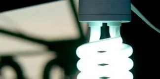 Luz