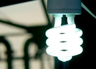 Luz
