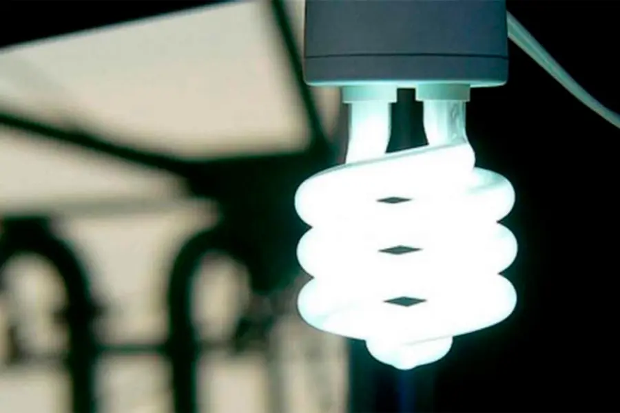 Luz