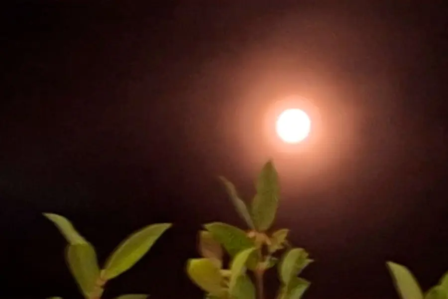 La Superluna en el cielo de Paraná.