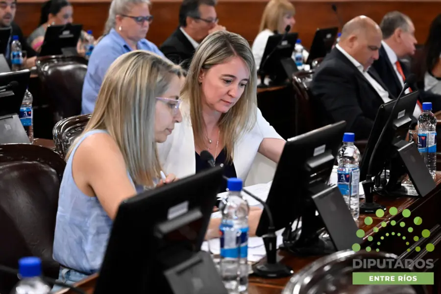 Juicio Político a Susana Medina