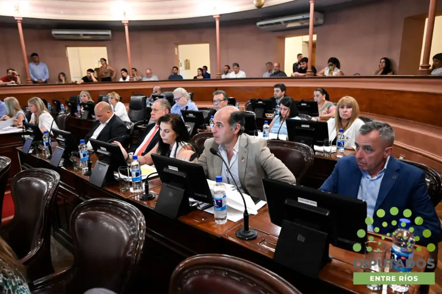 Juicio Político a Susana Medina