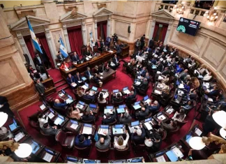 Senado. Foto: (Prensa Senado).