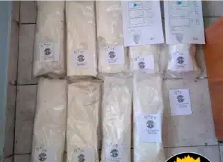 Secuestran más de 14 kilos de cocaína en un control sobre Ruta 14: una mujer quedó detenida Secuestraron más de 14 kilos de cocaína. Foto: (PER).