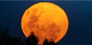 Eclipse lunar del 3 de marzo: a qué hora será y dónde ver la “Luna de Sangre”