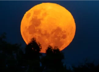 Eclipse lunar del 3 de marzo: a qué hora será y dónde ver la “Luna de Sangre”