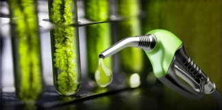 El Gobierno actualizó el precio de los biocombistobles