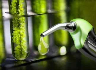 El Gobierno actualizó el precio de los biocombistobles