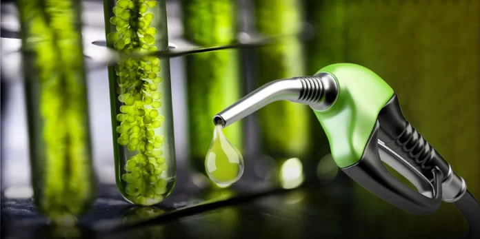 El Gobierno actualizó el precio de los biocombistobles El Gobierno actualizó el precio de los biocombistobles