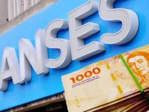 ANSES