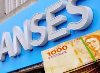 ANSES