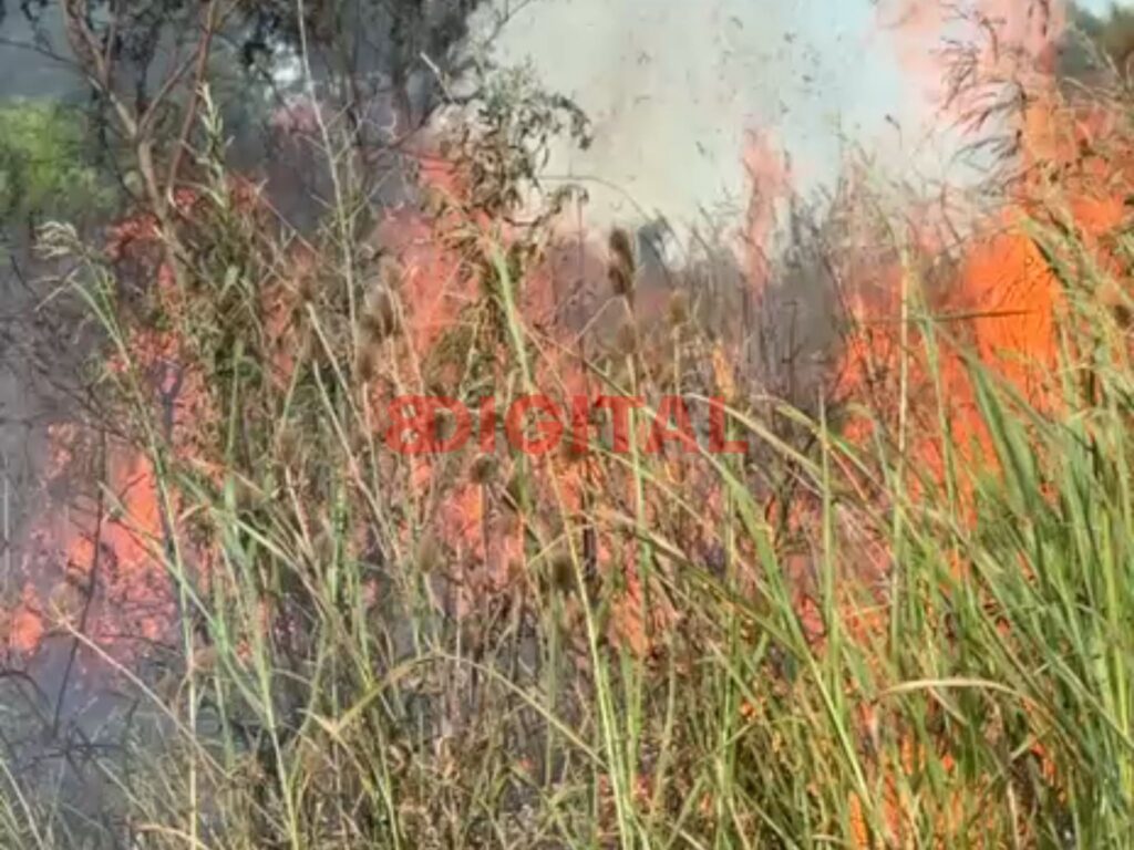 Incendio de grandes dimensiones en la zona de La Picada. Foto: Elochodigital